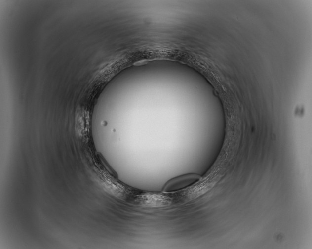 X0000101190528200806271319