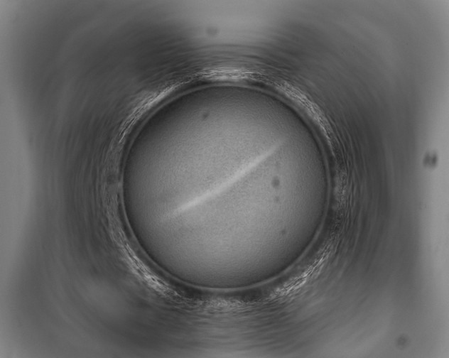 X0000101190529200806271318