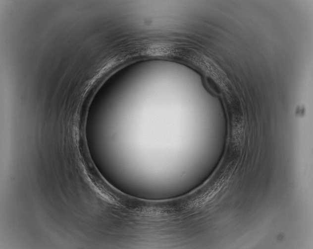 X0000101190530200806271318