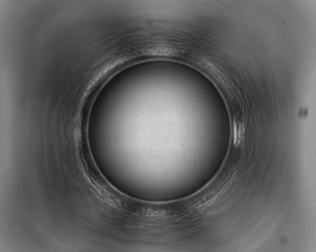 X0000101190531200806271318