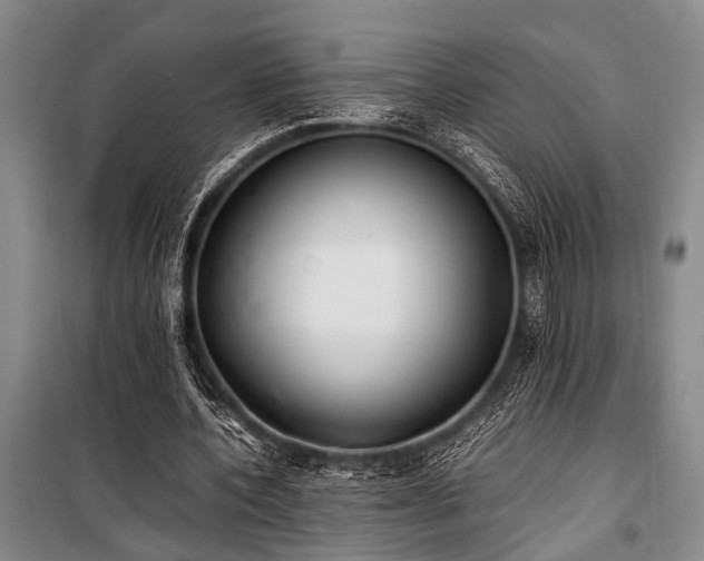 X0000101190532200806271318