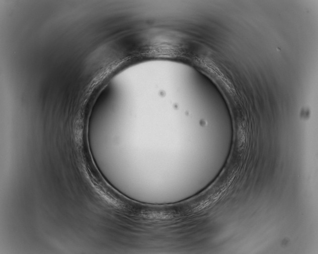 X0000101190533200806271318