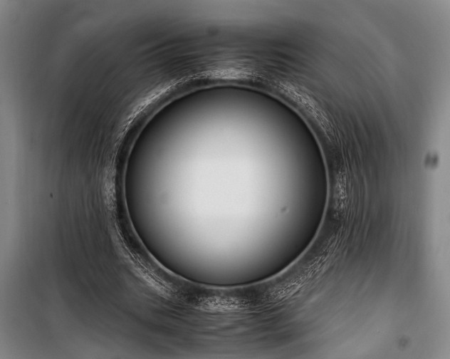 X0000101190535200806271318