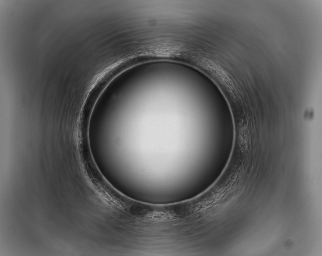 X0000101190536200806271318