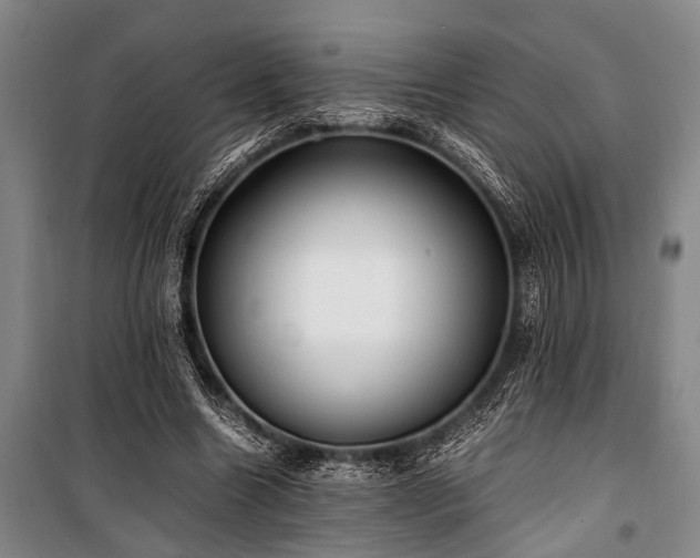 X0000101190538200806271318