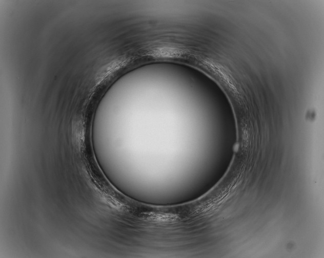 X0000101190539200806271318