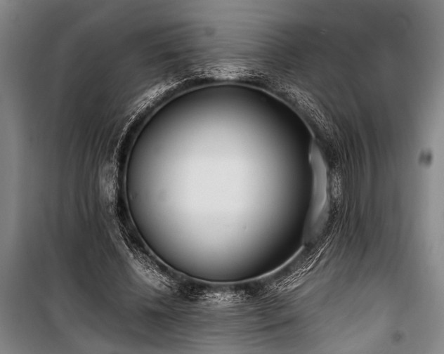 X0000101190540200806271318