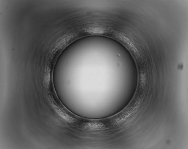 X0000101190541200806271318