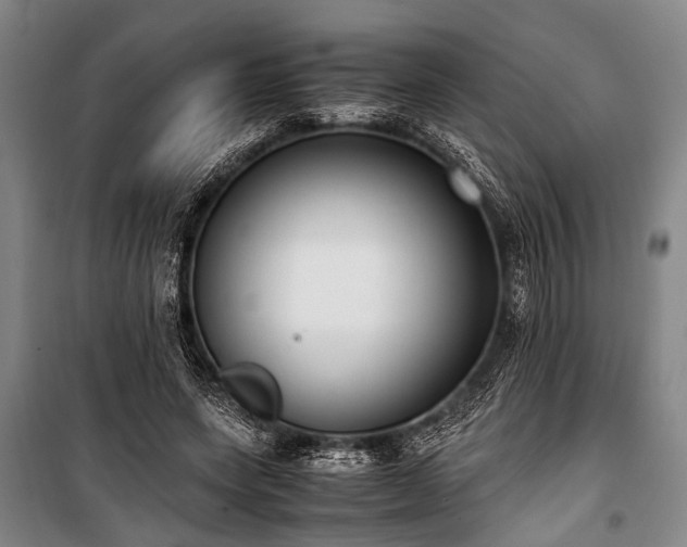 X0000101190543200806271318
