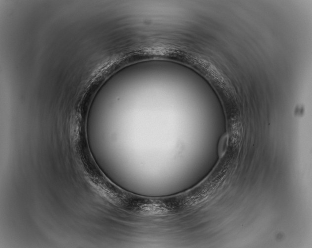 X0000101190544200806271318