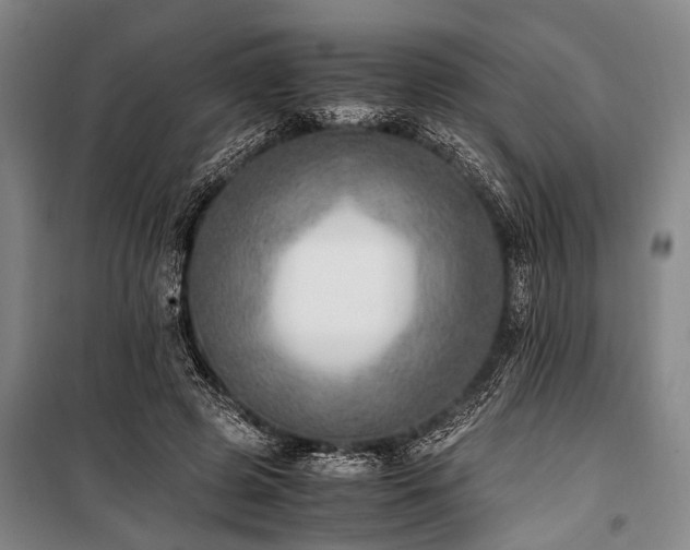 X0000101190545200806271318