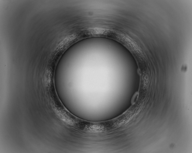 X0000101190546200806271318