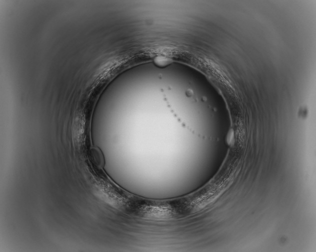 X0000101190548200806271318