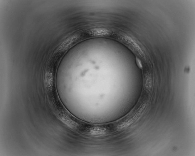 X0000101190549200806271318