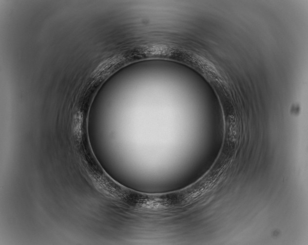 X0000101190550200806271318