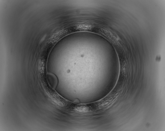 X0000101190551200806271318
