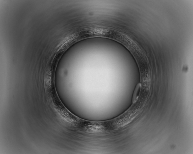 X0000101190552200806271318