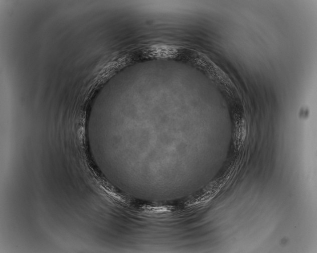 X0000101190553200806271318
