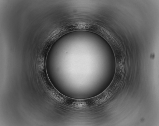 X0000101190554200806271318
