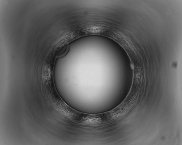 X0000101190555200806271318