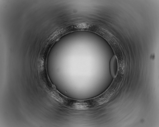 X0000101190556200806271318