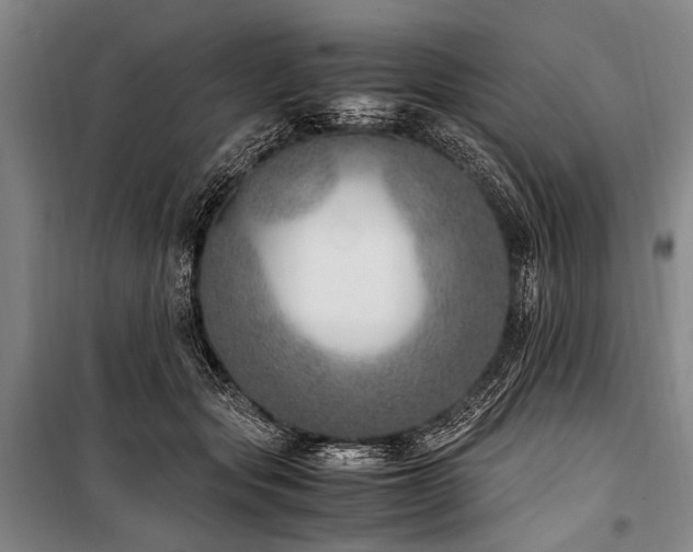 X0000101190557200806271318