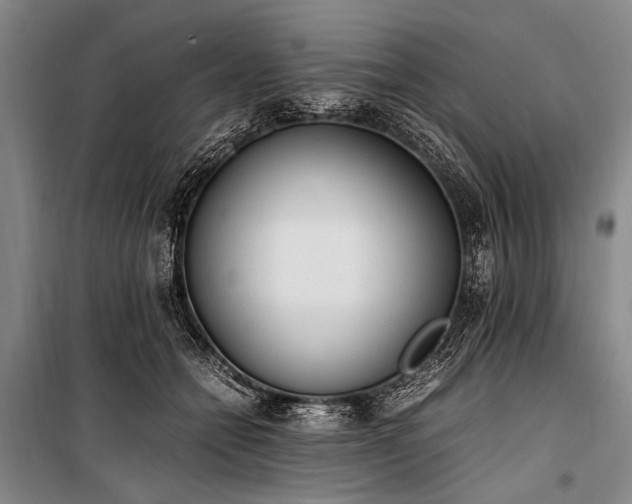 X0000101190558200806271318