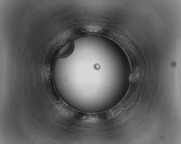 X0000101190559200806271318