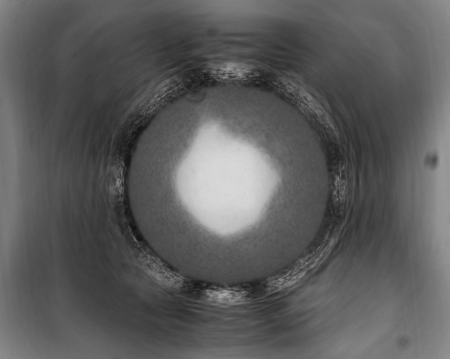 X0000101190561200806271318