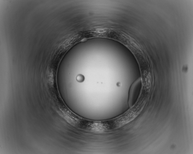 X0000101190562200806271318