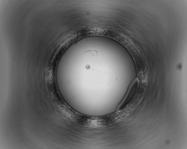 X0000101190564200806271318