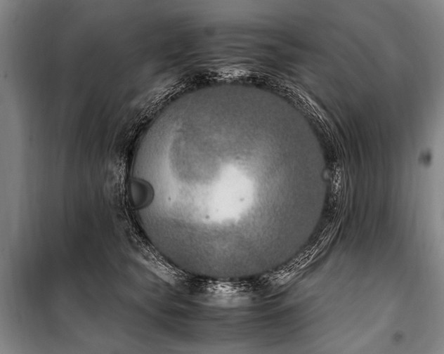 X0000101190565200806271318