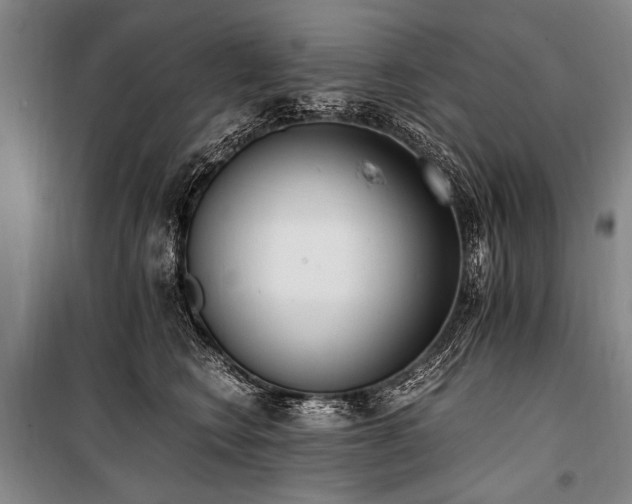 X0000101190566200806271318