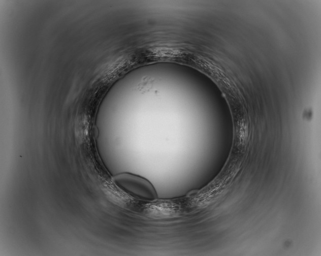 X0000101190567200806271318