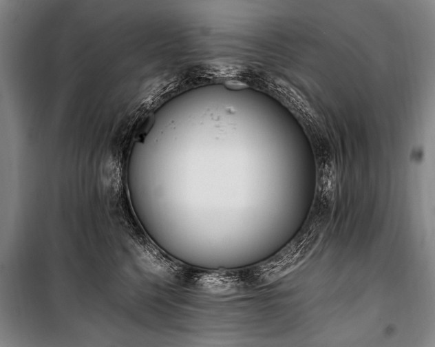 X0000101190568200806271318
