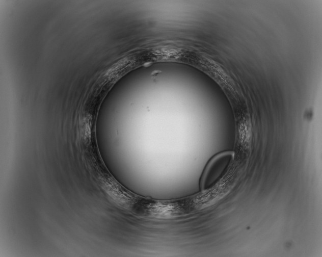 X0000101190570200806271318