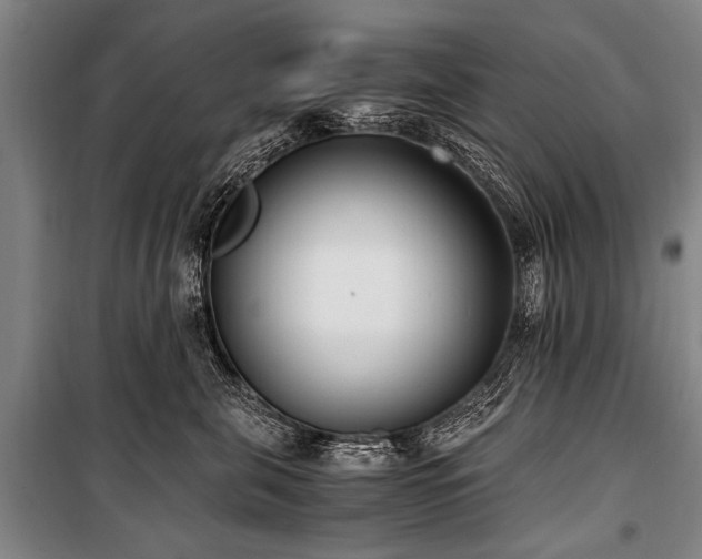 X0000101190571200806271318