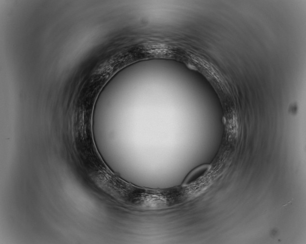 X0000101190572200806271318