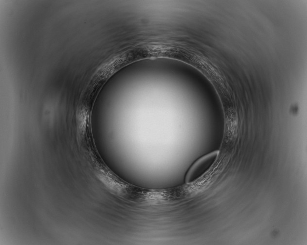 X0000101190574200806271318
