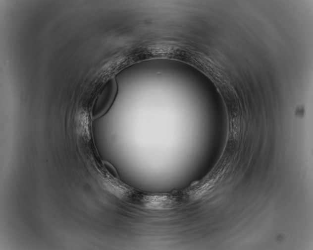 X0000101190575200806271318