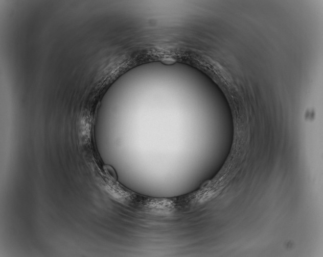 X0000101190576200806271319