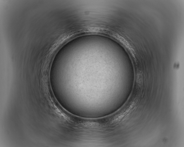 X0000101190577200806271318