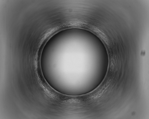 X0000101190578200806271318