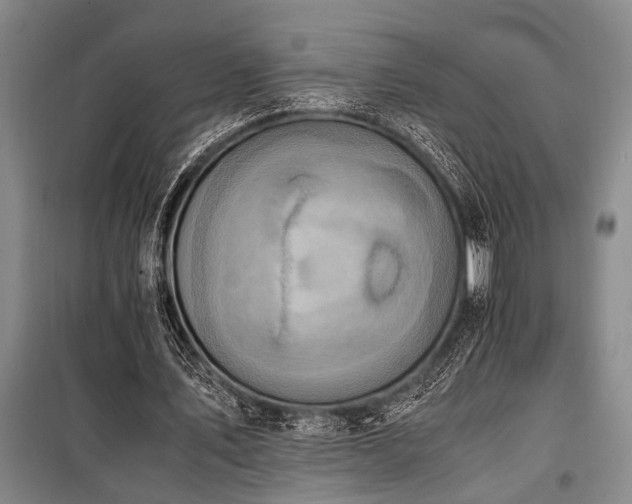X0000101190579200806271318