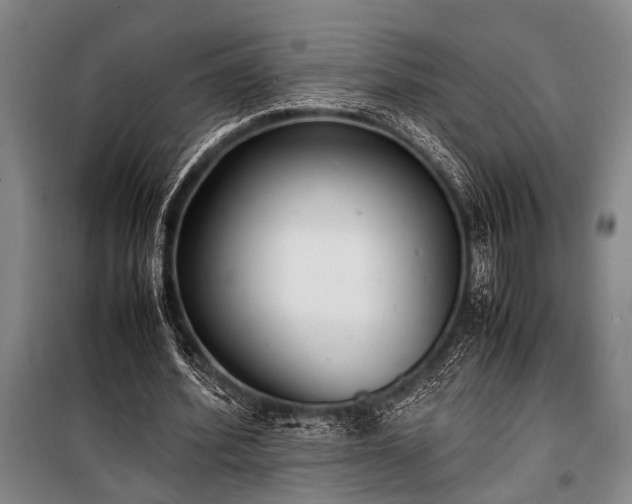 X0000101190580200806271318