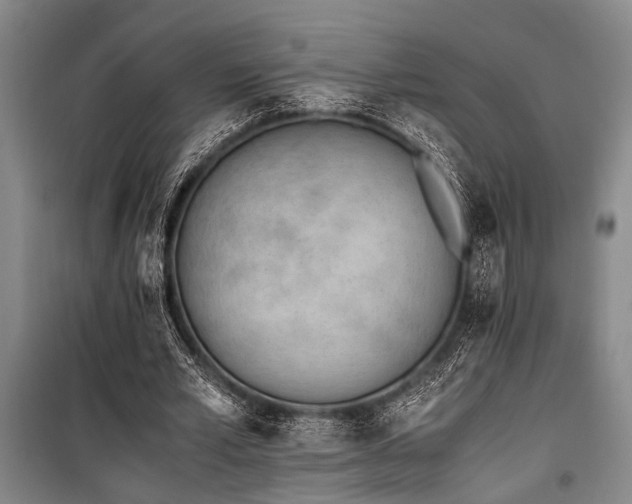 X0000101190581200806271318
