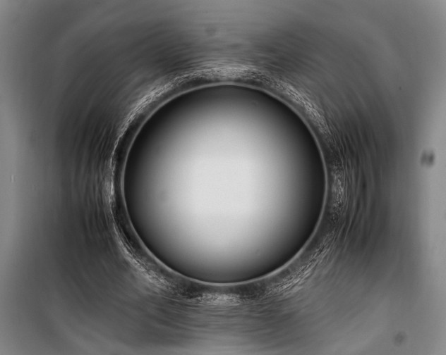 X0000101190582200806271318