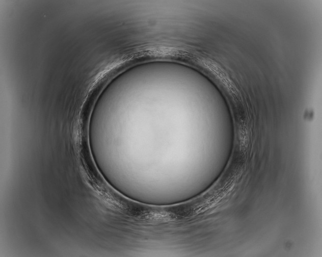 X0000101190583200806271318