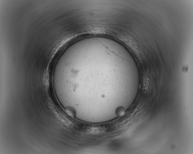 X0000101190584200806271318