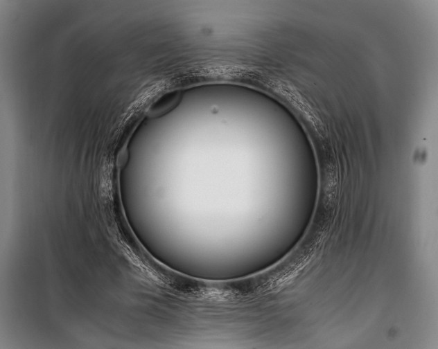 X0000101190585200806271318